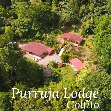 La Purruja Lodge Гольфито Экстерьер фото