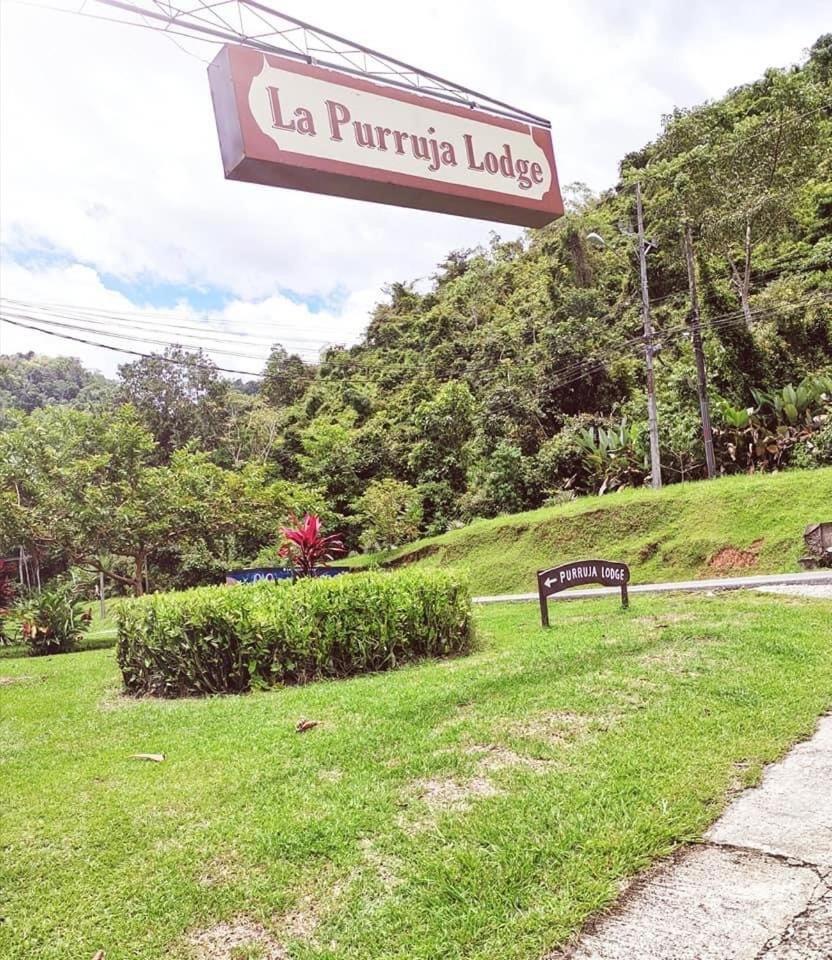 La Purruja Lodge Гольфито Экстерьер фото