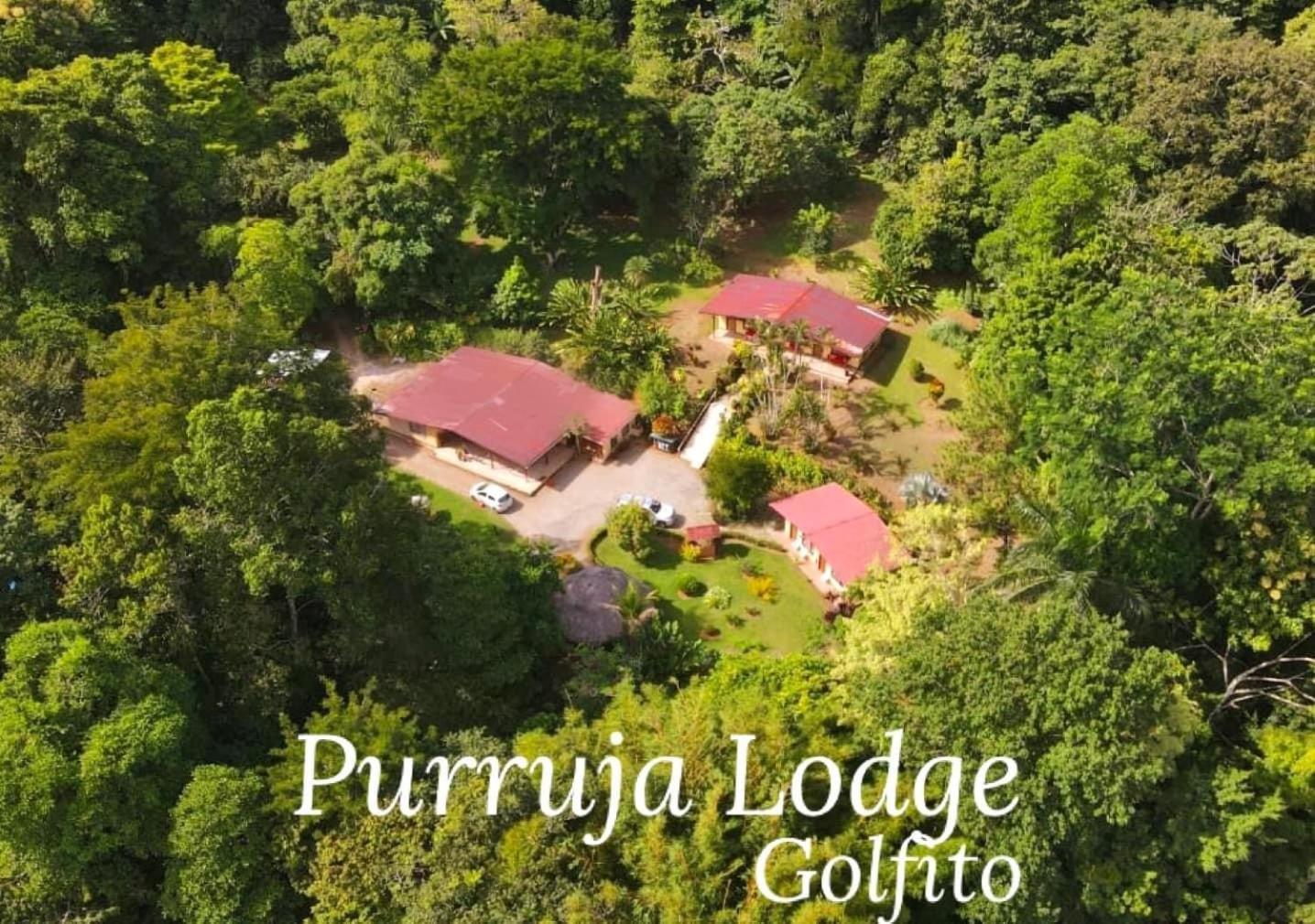 La Purruja Lodge Гольфито Экстерьер фото